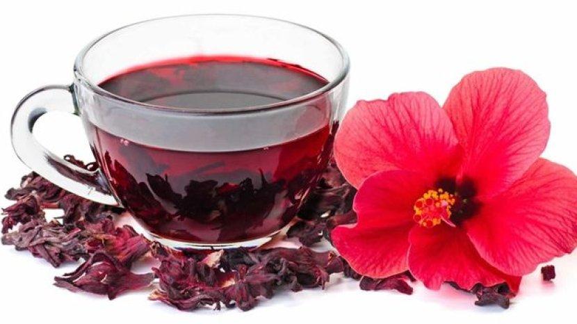 8 Khasiat Kembang Sepatu, Bisa Cegah Diabetes dan Bikin Kulit Jadi Awet Muda