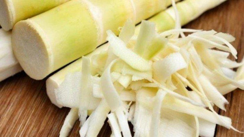 9 Manfaat Rutin Makan Rebung, Tunas Bambu yang Bisa Mengatasi Kolesterol hingga Asam Urat