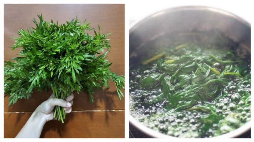 10 Khasiat Rutin Minum Air Rebusan Daun Kenikir Ternyata Menakjubkan, Apa Saja?