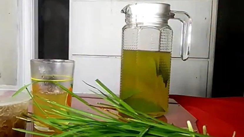 Rumput Teki yang Sering Dianggap Gulma, Ternyata Punya 9 Manfaat Ini untuk kesehatan