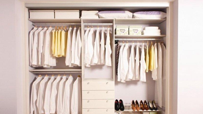 Jamur di Lemari Bisa Merusak Pakaian, Coba 5 Tips Ini untuk Mengatasinya