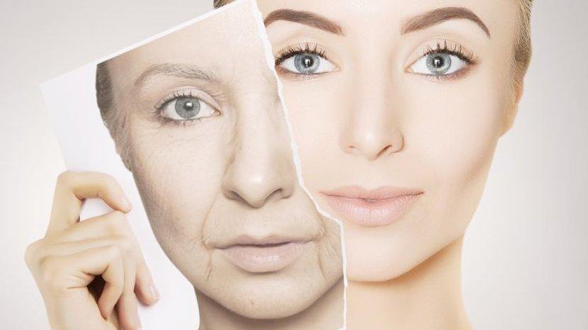 5 Rekomendasi Skincare dengan Kandungan Snail Extract, Bisa Melawan Tanda Penuaan