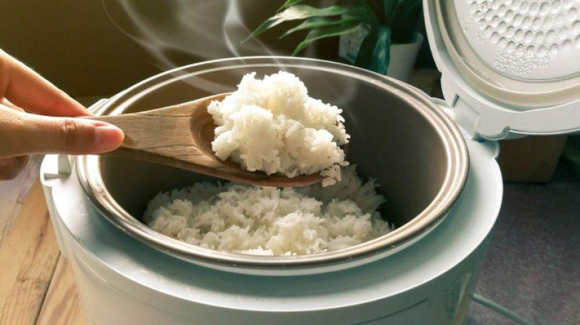 rice-cooker-dalam-kondisi-baik.jpg