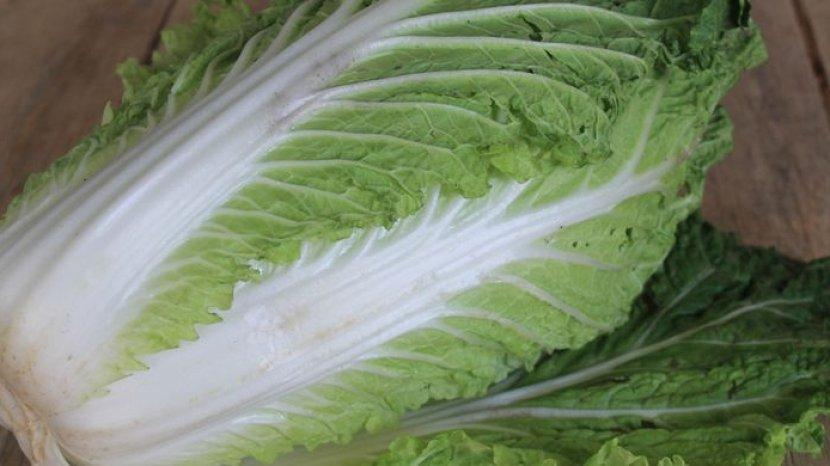 Rajin Makan Sawi Putih, Dapatkan 10 Khasiat Menakjubkan Ini