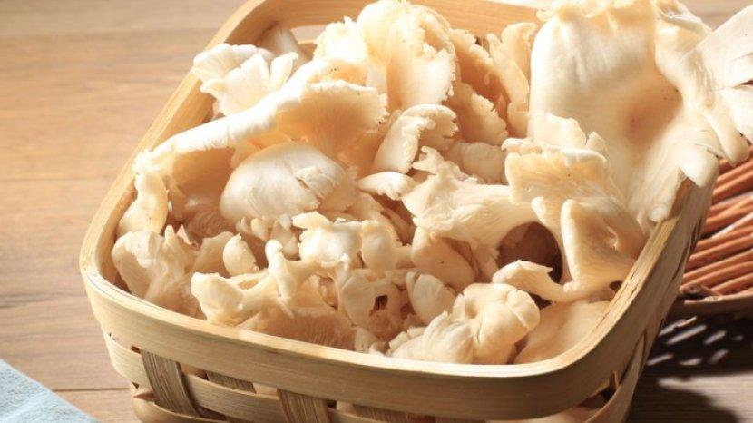 5 Tips Menyimpan Jamur di Kulkas, Tahan Lebih Lama dan Bebas Lendir