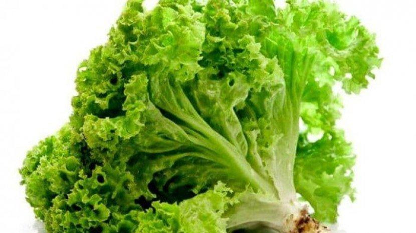 6 Manfaat Selada Bagi Tubuh, Mencegah Dehidrasi hingga Menu Diet yang Baik