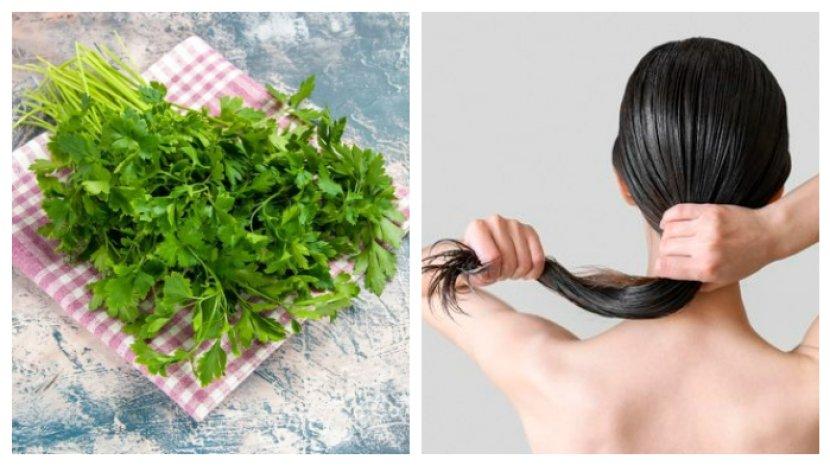 seledri-ternyata-bagus-untuk-merawat-keindahan-rambut-secara-alami2.jpg