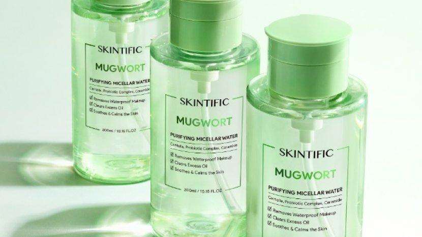 skintific-mugwort-purifying-micellar-water.jpg