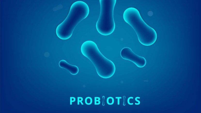 sumber-probiotik.jpg