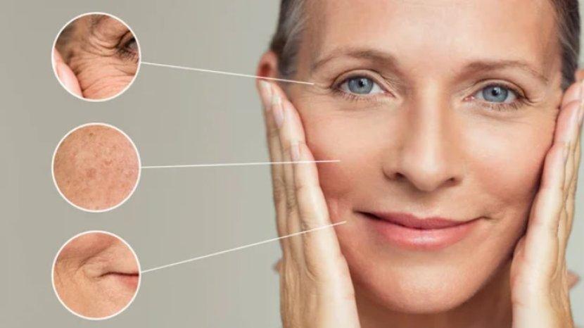 Retinol hingga Probiotics, Ini 7 Kandungan Skincare Terbaik untuk Anti Aging