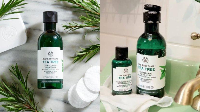 Review The Body Shop Tea Tree Skin Clearing Facial Wash, Ampuh Hempas Minyak dan Jerawat Meradang