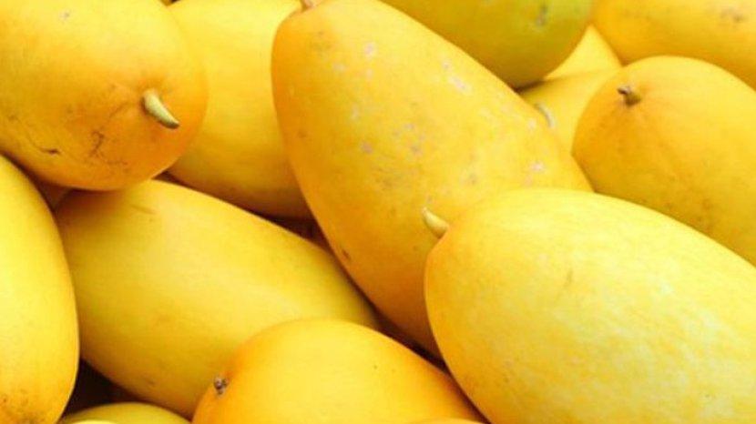 5 Manfaat Timun Suri untuk Tubuh yang Jadi Menu Andalan Buka Puasa