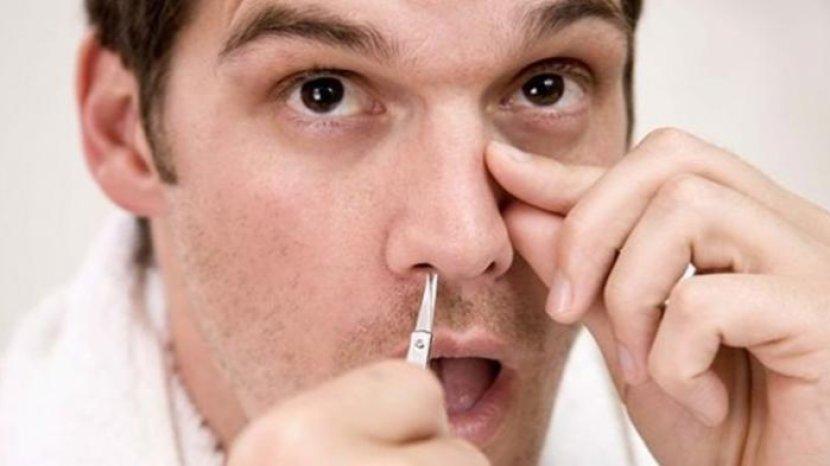 Cara Tepat Menghilangkan Bulu Hidung yang Berantakan, Aman Tidak Bikin Iritasi