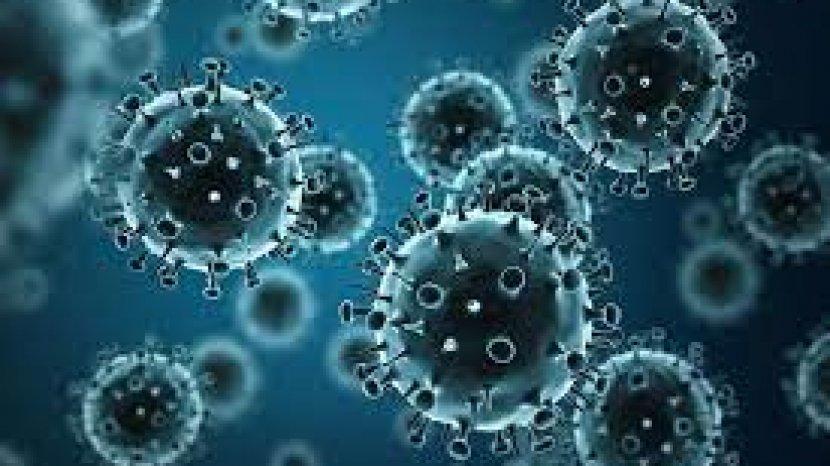 Jaga Imunitas Tubuh Saat Pandemi, Konsumsi Makanan Bernutrisi dan Buah yang Mengandung Vitamin C