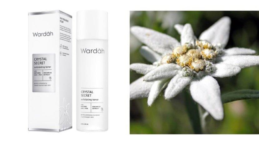 Review Wardah Crystal Secret Exfoliating Toner with Natural AHA+PHA, Wajah Cerah Awet Muda