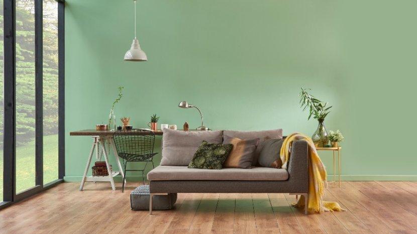 5 Warna Cat yang Cocok Dipadukan dengan Konsep Rumah Minimalis, Simpel namun Terlihat Mewah