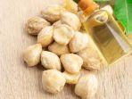 4 Rekomendasi Candlenut Oil Terbaik: Minyak Kemiri untuk Menyuburkan Rambut