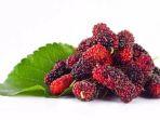 4 Keunggulan Buah Mullberry untuk Kulit, Salah Satunya dapat Mencegah Kerutan Penuaan Dini