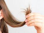 Penyebab Rambut Bercabang dan Cara Mengatasinya Secara Alami