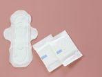 5 Rekomendasi Pembalut Daun Sirih yang Nyaman Dipakai Saat Menstruasi