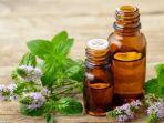 5 Manfaat Minyak Peppermint untuk Kecantikan, Bisa Jadi Solusi Terbaik untuk Menyuburkan Rambut