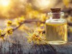 7 Keunggulan Witch Hazel, Kandungan Skincare yang Cocok untuk Pemilik Kulit Sensitif