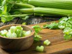 7 Manfaat Daun dan Batang Seledri untuk Kesehatan Tubuhmu, Bukan Hanya Pelezat Makanan