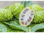 Masker dari Buah Mengkudu Efektif Bikin Kulit Cantik? Intip 7 Manfaatnya jika Rutin Digunakan