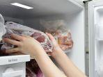 6 Penyebab Freezer Sulit Beku dan Mengganggu Performa, Perhatikan Suhu dan Kapasitas 