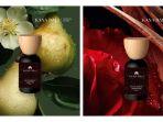 4 Rekomendasi Varian Kana Bali Eau de Parfum: Wangi Tahan Lama hingga 10 Jam