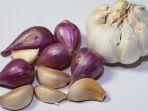 7 Tips Menyimpan Bawang Merah dan Putih supaya Tidak Cepat Busuk dan Bertunas
