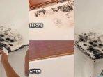 4 Rekomendasi Pembersih Jamur Black Mold dan Lumut Tembok Rumah