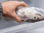 7 Bahan Alami untuk Mengatasi Bau Amis Ikan Mentah, Ada Daun Jeruk dan Bawang Putih