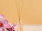 35 Daftar Reed Diffuser Terbaik, Desain Estetik dengan Keharuman yang Tahan Lama
