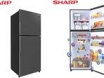 Review Lengkap Kulkas Sharp Shine JTech Inverter SJ-386SI-DS, Plus dan Minus