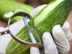 6 Tips Menyimpan Timun secara Tepat dan Aman Dikonsumsi, Jangan Dicuci Sebelum Disimpan
