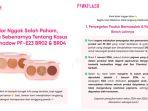 Review Eyeshadow Pinkflash PF-E23 BR02 dan BR04 Dilarang Edar BPOM, Ini Klarifikasi Fakta Lengkapnya