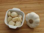 6 Hewan yang Bisa Kamu Usir Pakai Bawang Putih, Langsung Kabur Berkat Aromanya