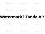 Cara Mudah Mengedit dan Menghapus Watermark Foto Lewat HP, Mudah Sekali