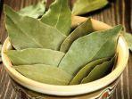 10 Manfaat Kesehatan Ini Bisa Didapatkan Jika Rutin Minum Air Rebusan Daun Salam