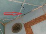7 Tips Mengatasi Cacing di Kamar Mandi secara Efektif, Bisa Pakai Cuka Apel