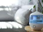5 Rekomendasi Humidifier Multifungsi dari Taffware, Harga Terjangkau untuk Kelembapan yang Tepat