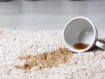 Noda Karpet Bikin Kesal? Ini 5 Bahan Alami untuk Pembersihan Efektif