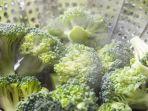 5 Rekomendasi Food Steamer, Masak Sahur Praktis Tak Perlu Banyak Alat