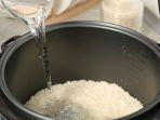 Review Rice Cooker SHARP KS-P8MY-WH dengan Bentuk yang Elegan dan Mewah