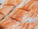 5 Tips Menyimpan Ikan Salmon Supaya Nutrisi Tidak Hilang, Jangan Asal Bekukan Freezer