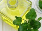 Tak Hanya untuk Kesehatan, Daun Mint Juga Bermanfaat untuk Kecantikan