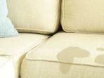 4 Tips Mengatasi Noda Minyak di Sofa, Ampuh Tanpa Jasa Pembersih Profesional