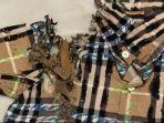5 Tips Ampuh untuk Mengamankan Baju di Lemari dari Serangan Rayap