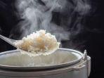 7 Rekomendasi Rice Cooker Low Carbo, Penanak Nasi Canggih dengan Tingkat Kesehatan Tinggi